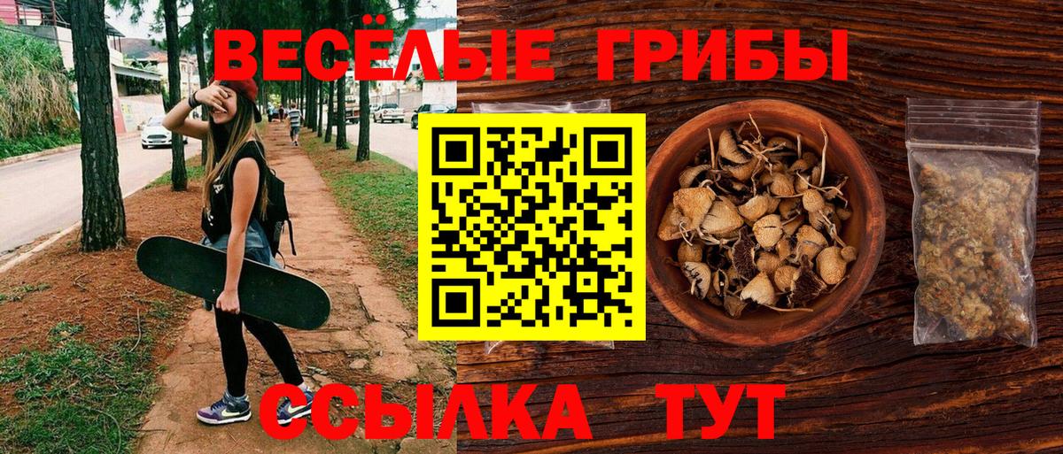Галлюциногенные грибы ЛСД Гусев